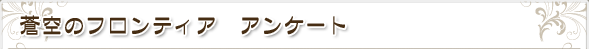蒼空のフロンティア アンケート