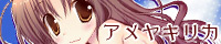 アメヤキリカ アメヤキリカ