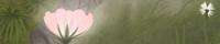 羽柴 透馬 羽柴 透馬
